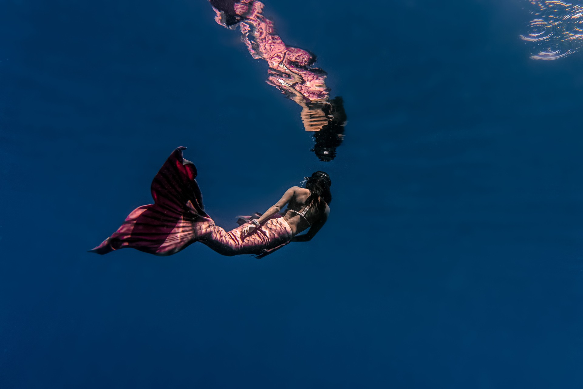 Woman Swimming In Sea