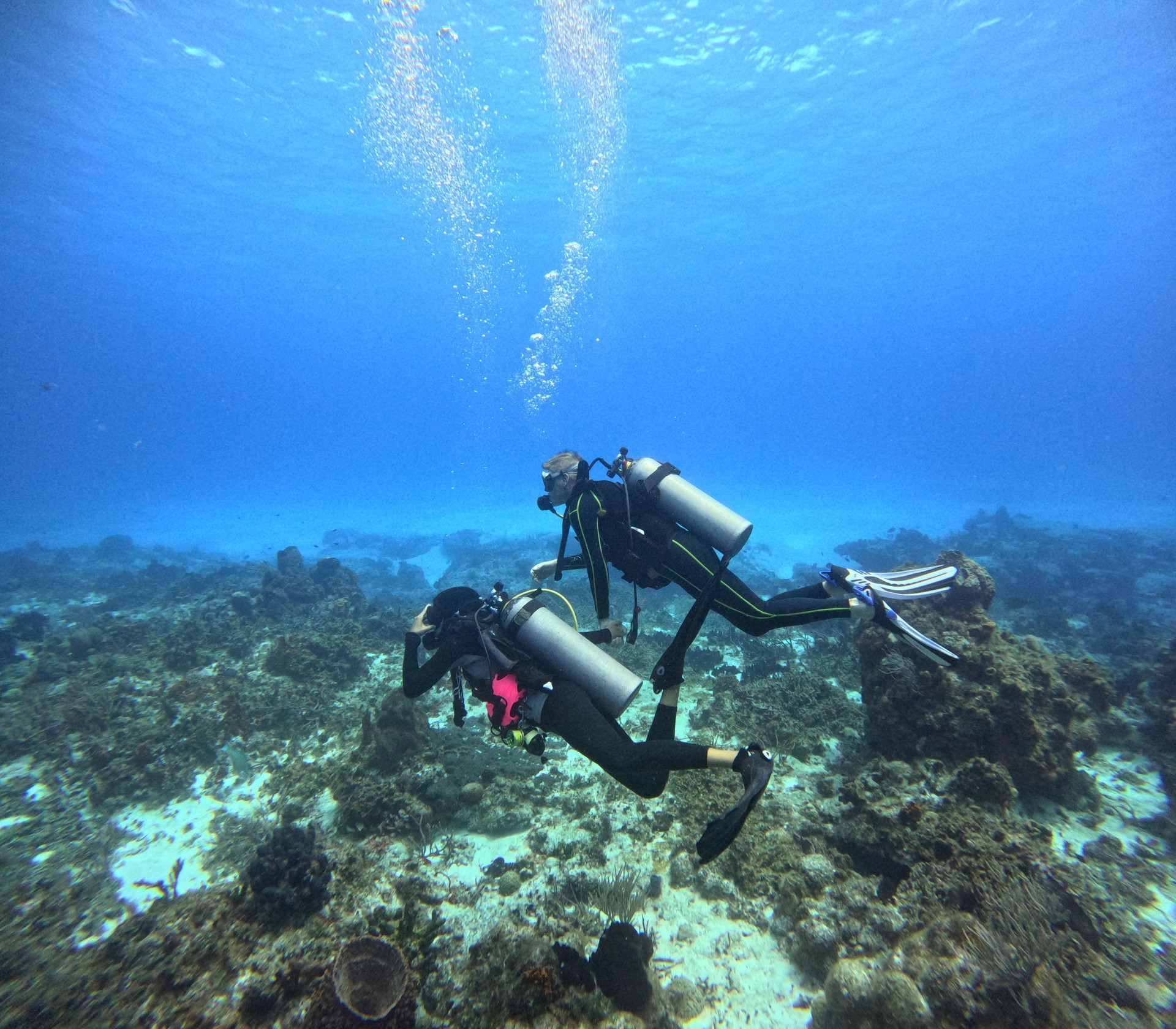 Underwater view of scuba divers exploring sea