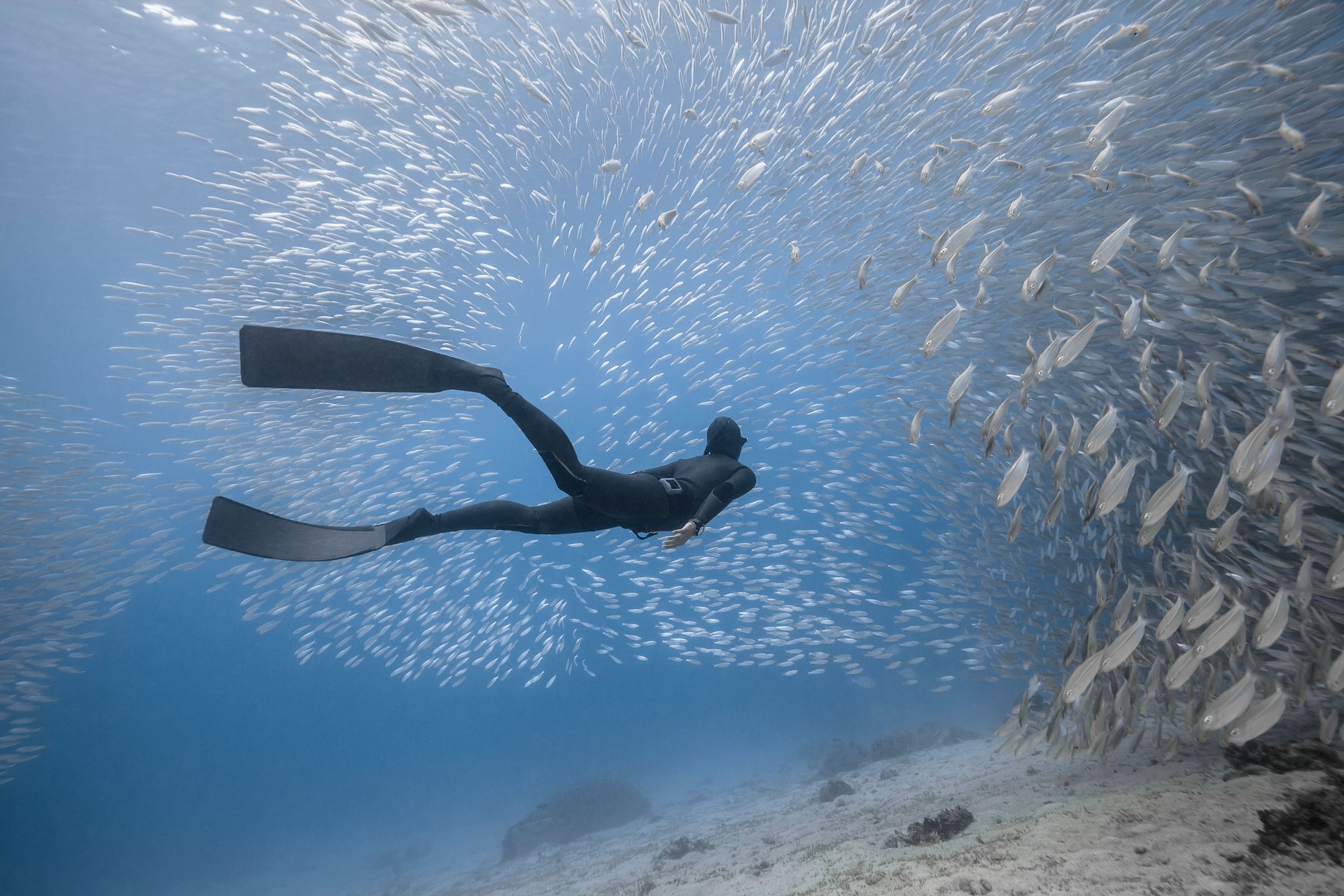Woman freediver underwater view