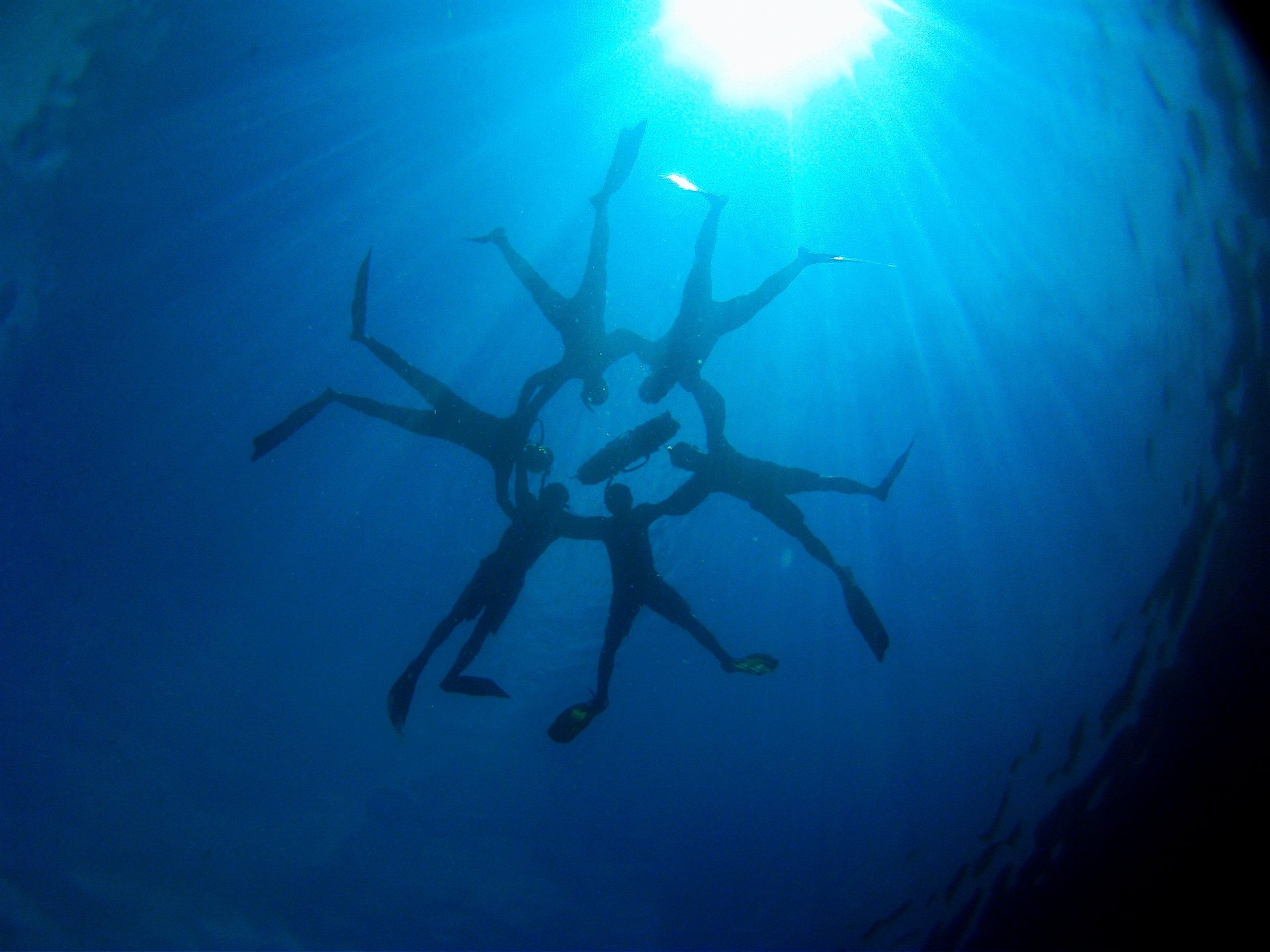 underwater apnea freedive