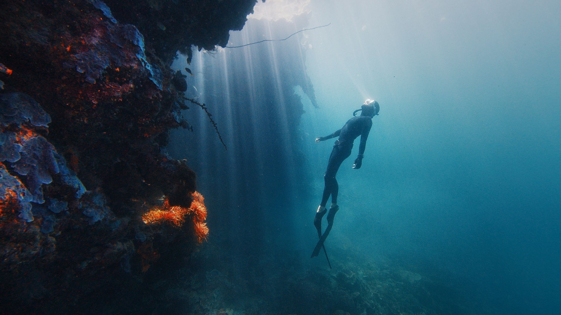 Freediver is descending along a reef wall illuminated by sun rays