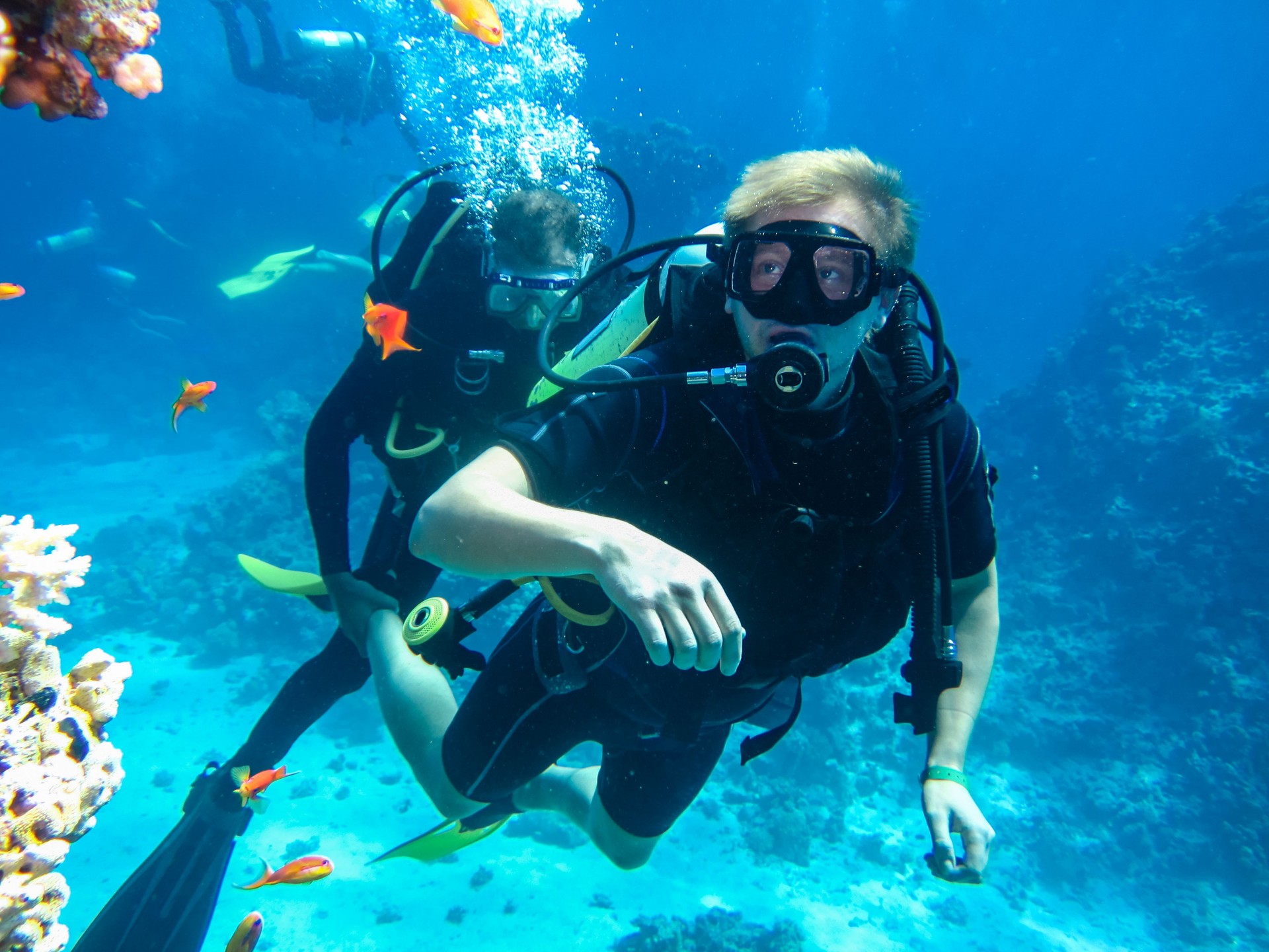 Learning the techniques of diving. Diving instructor with his student