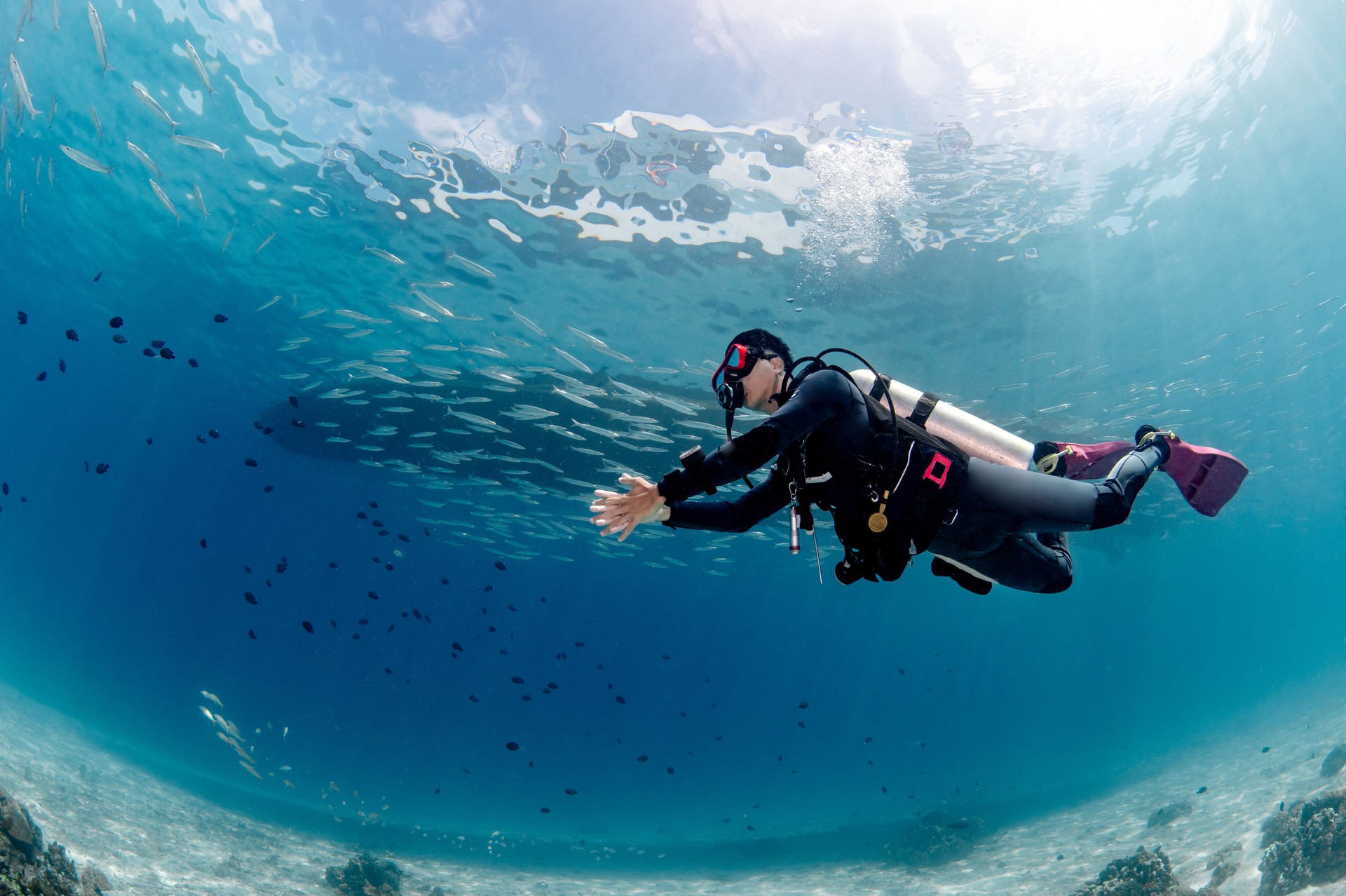 Underwater scuba diving in Andaman sea, Thailand